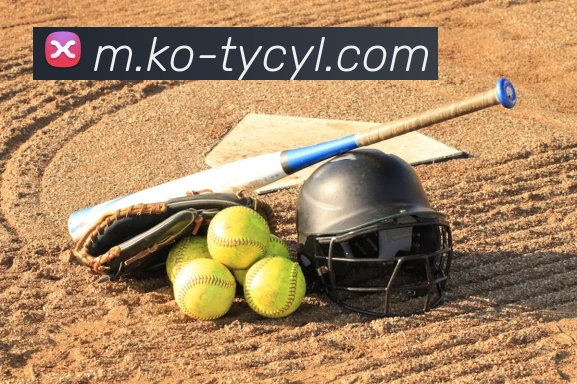 澳门太阳城网站平台生态图