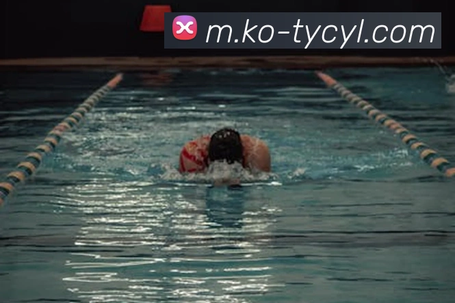 澳门太阳城网站全站App